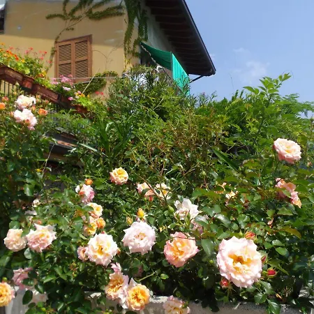 Il Giuggiolo-2